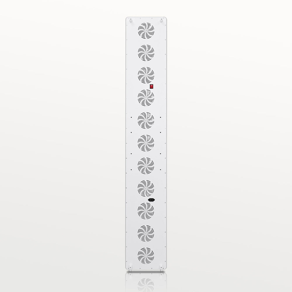 
                  
                    Rouge Max G4 - Rouge Care
                  
                